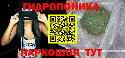 ешки Гагарин