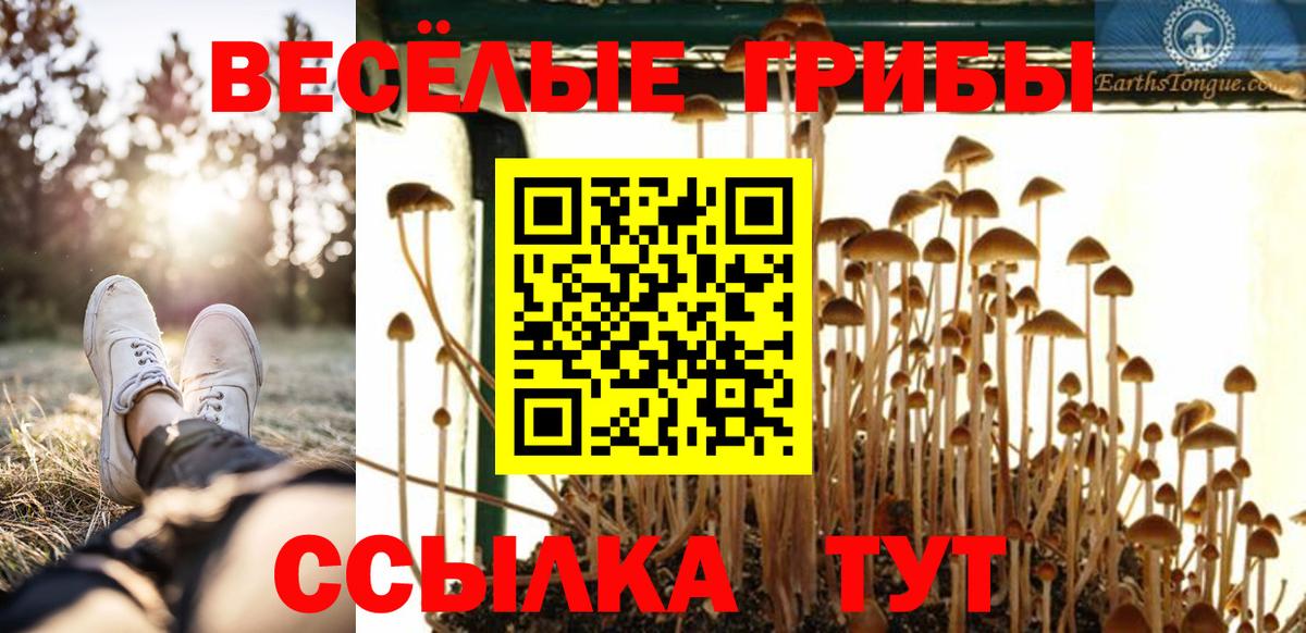 Галлюциногенные грибы GOLDEN TEACHER  где купить наркотик  Дзержинский 