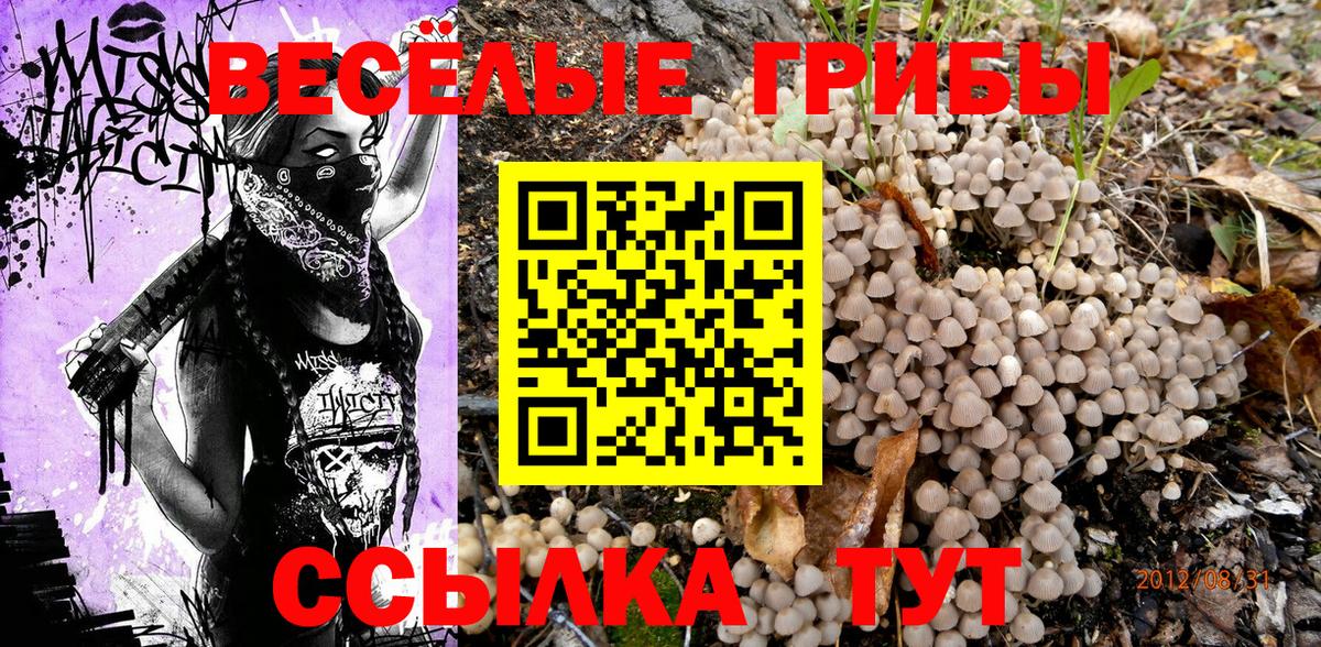 Псилоцибиновые грибы мухоморы Дзержинский